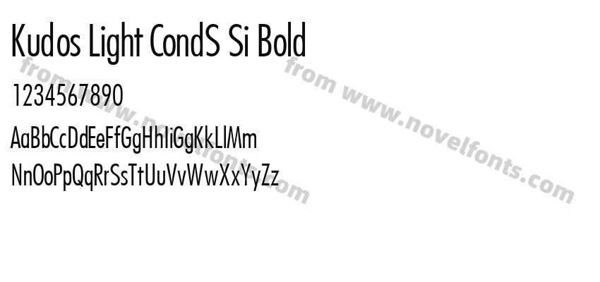 Kudos Light CondS Si BoldPreview