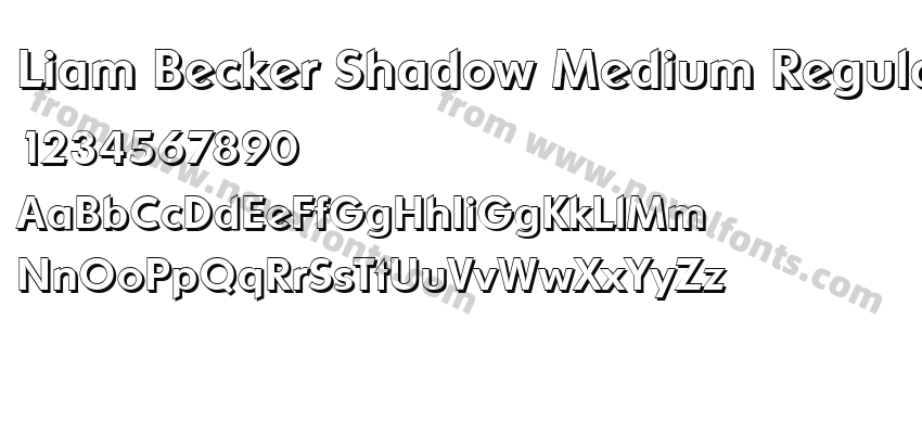 Liam Becker Shadow Medium RegularPreview