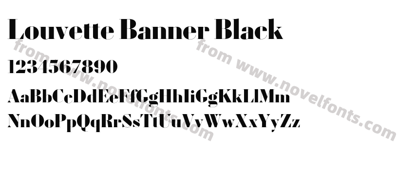 Louvette Banner BlackPreview