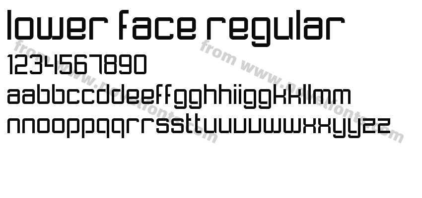 Lower Face RegularPreview