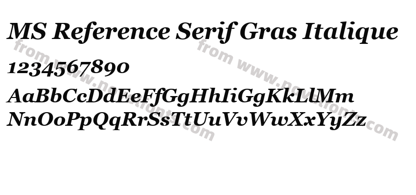 MS Reference Serif Gras ItaliquePreview