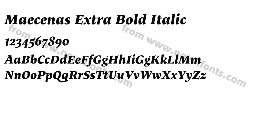 Maecenas Extra Bold ItalicPreview