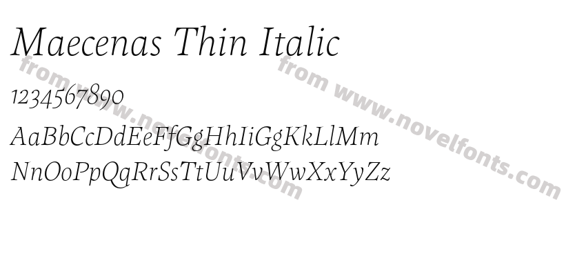 Maecenas Thin ItalicPreview