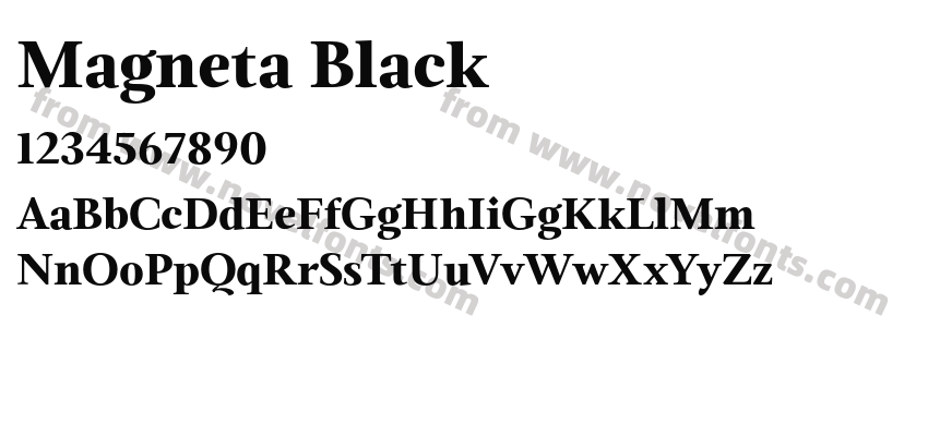 Magneta BlackPreview