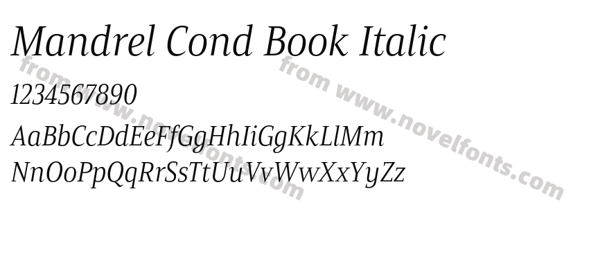 Mandrel Cond Book ItalicPreview