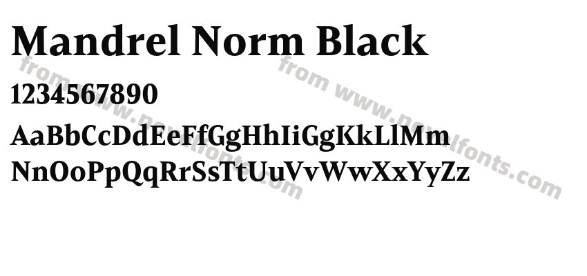 Mandrel Norm BlackPreview