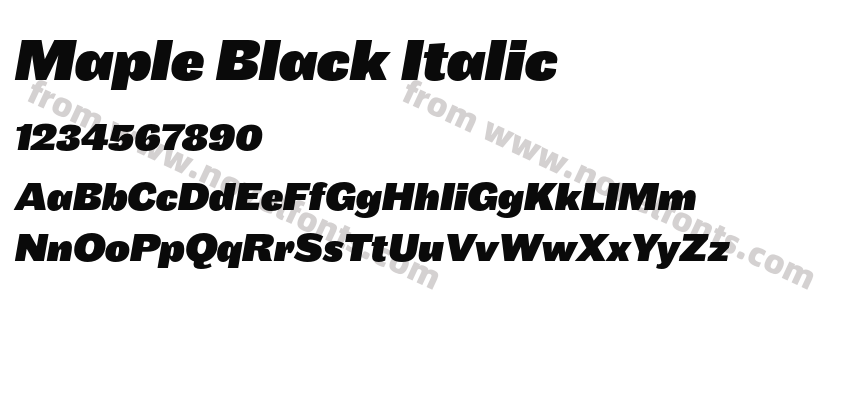 Maple Black ItalicPreview