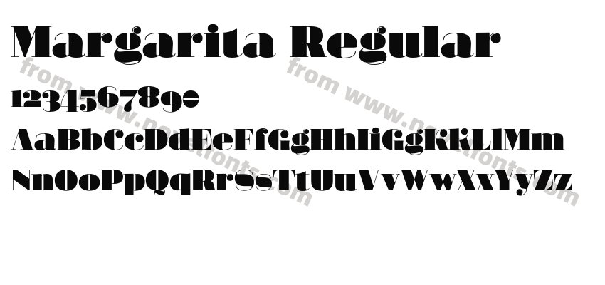 Margarita RegularPreview