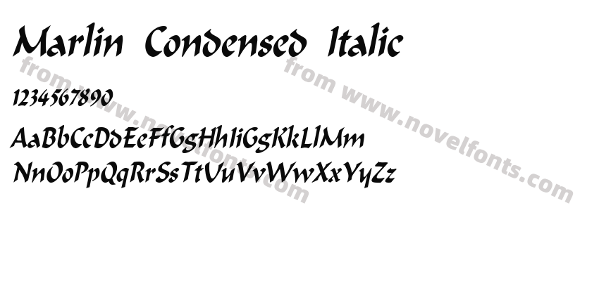 Marlin Condensed ItalicPreview