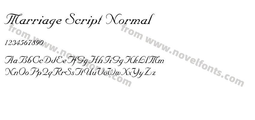 Marriage Script NormalPreview