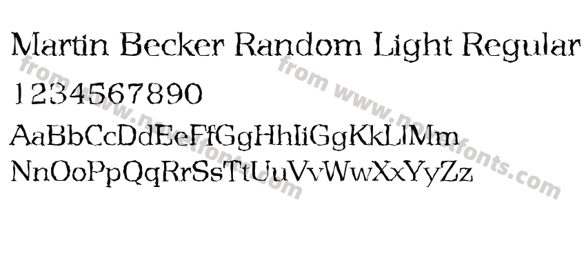 Martin Becker Random Light RegularPreview