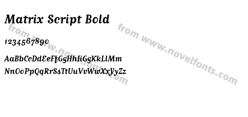 Matrix Script BoldPreview