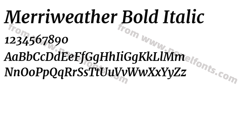 Merriweather Bold ItalicPreview