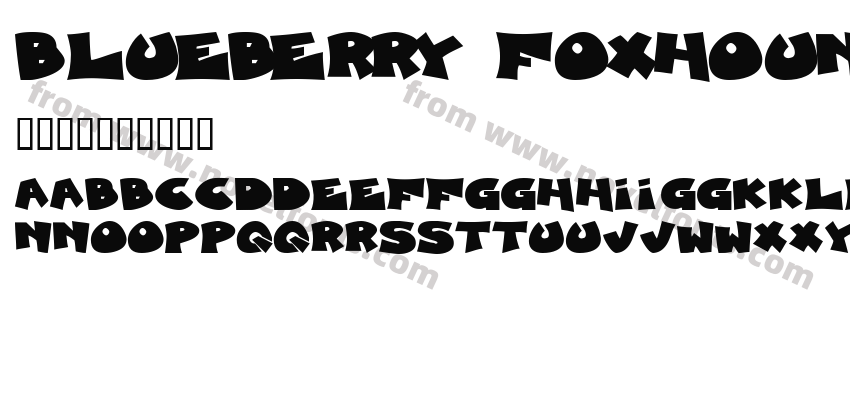 Blueberry FoxhoundPreview