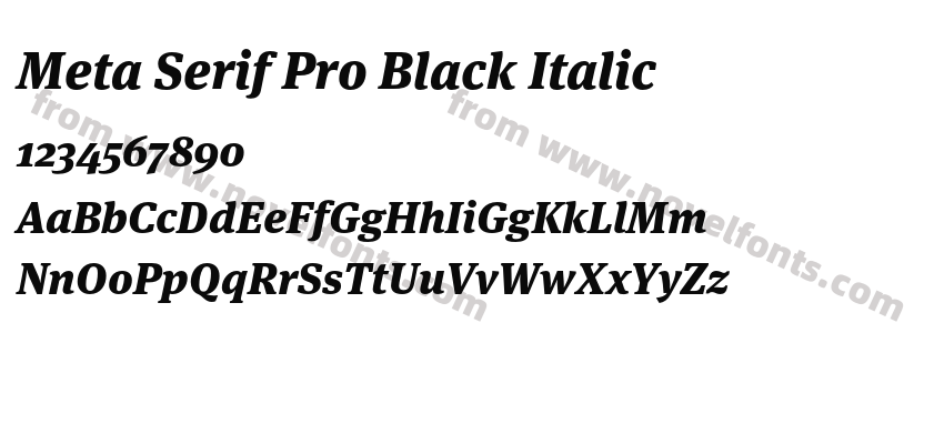 Meta Serif Pro Black ItalicPreview