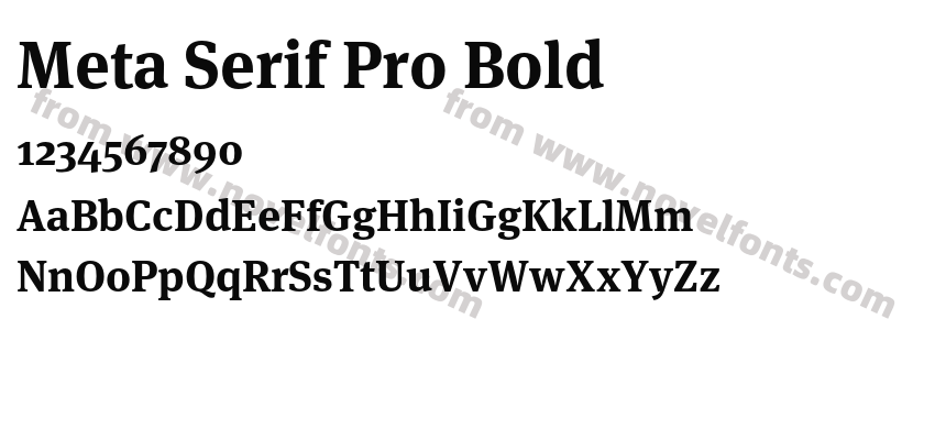 Meta Serif Pro BoldPreview