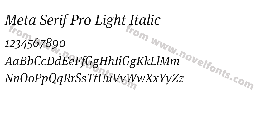 Meta Serif Pro Light ItalicPreview