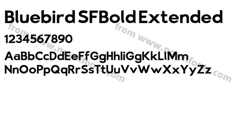 Bluebird SFBold ExtendedPreview