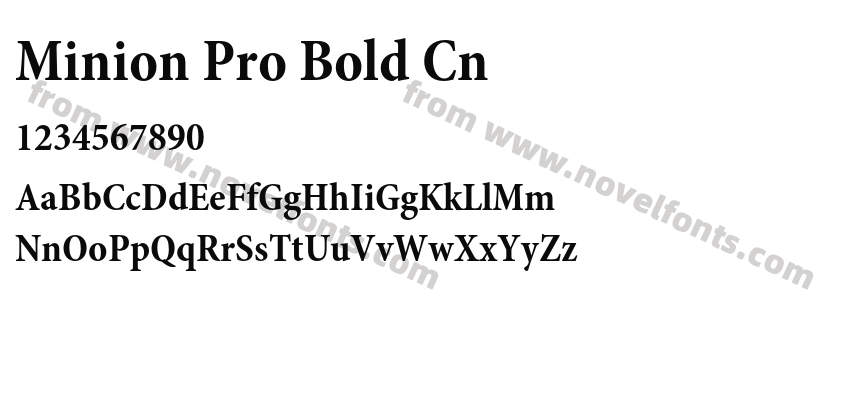 Minion Pro Bold CnPreview