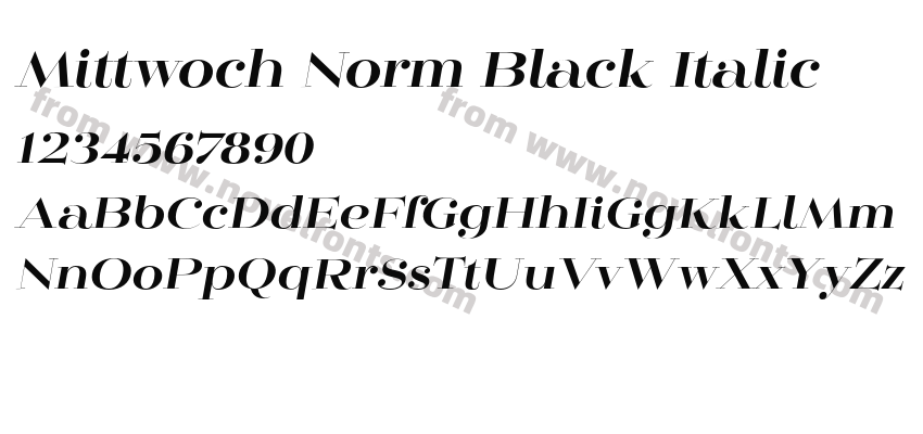 Mittwoch Norm Black ItalicPreview