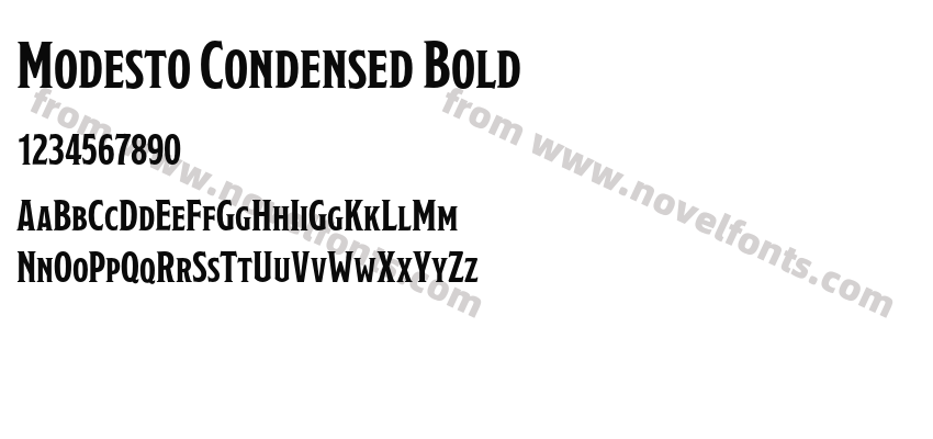 Modesto Condensed BoldPreview