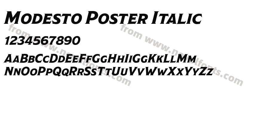 Modesto Poster ItalicPreview