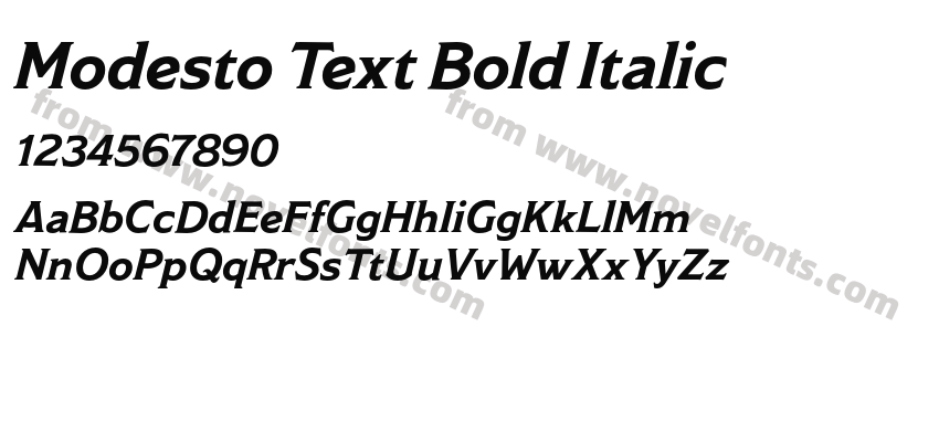 Modesto Text Bold ItalicPreview