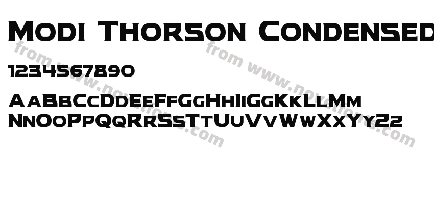 Modi Thorson CondensedPreview