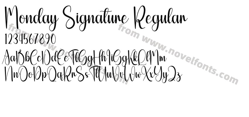 Monday Signature RegularPreview