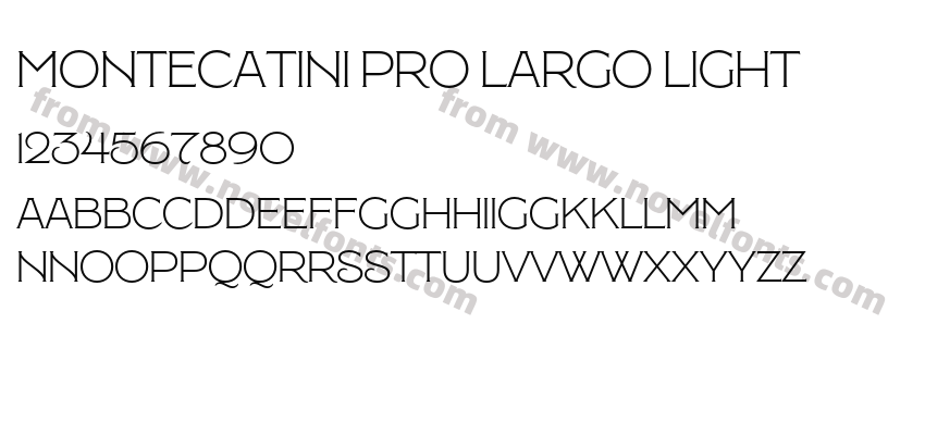 Montecatini Pro Largo LightPreview