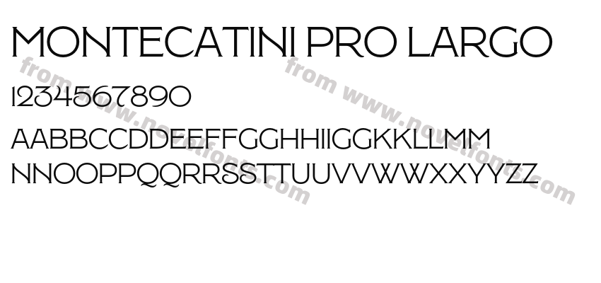 Montecatini Pro LargoPreview