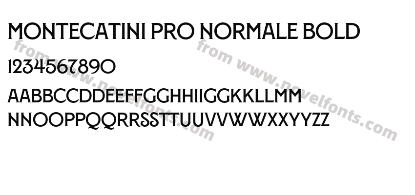 Montecatini Pro Normale BoldPreview