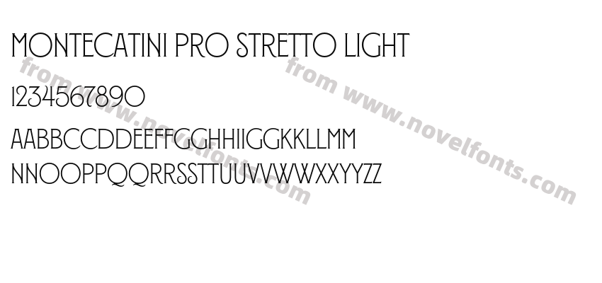 Montecatini Pro Stretto LightPreview