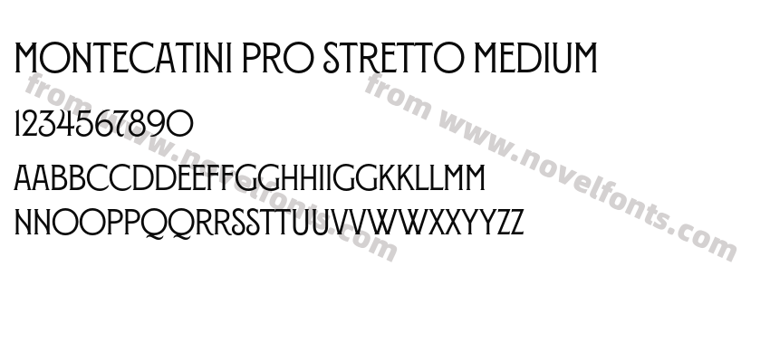 Montecatini Pro Stretto MediumPreview