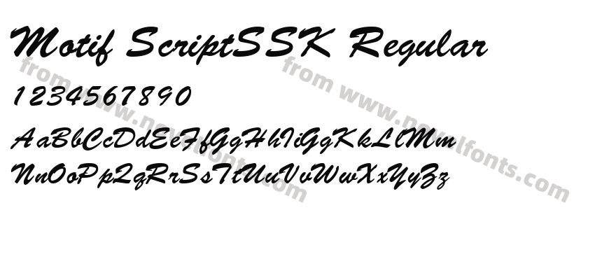 Motif ScriptSSK RegularPreview