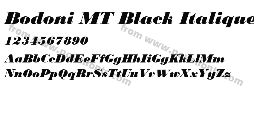 Bodoni MT Black ItaliquePreview