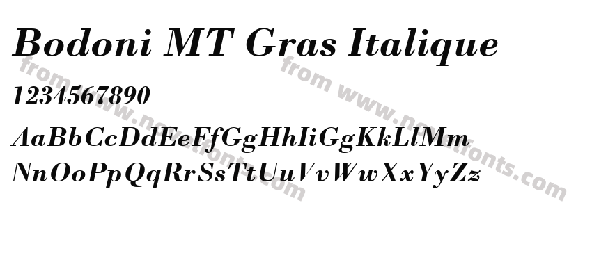 Bodoni MT Gras ItaliquePreview