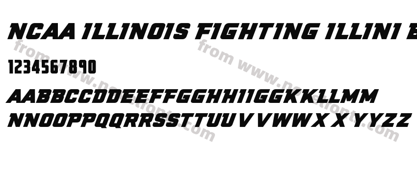 NCAA Illinois Fighting Illini BoldPreview