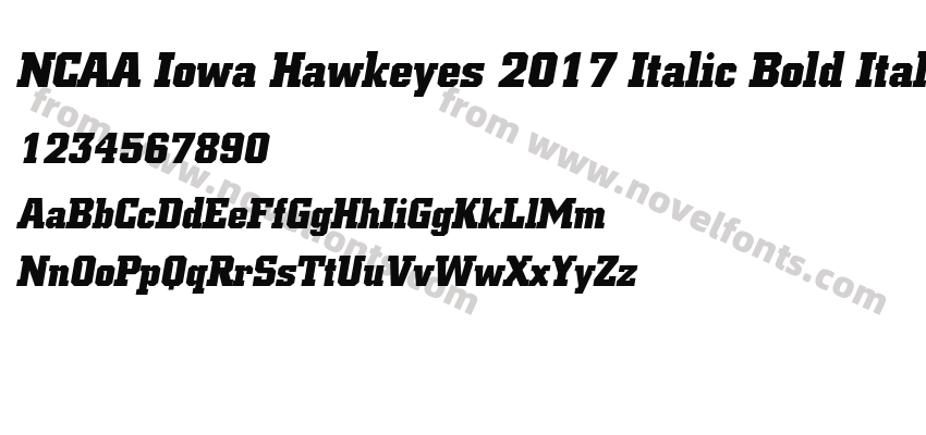 NCAA Iowa Hawkeyes 2017 Italic Bold ItalicPreview