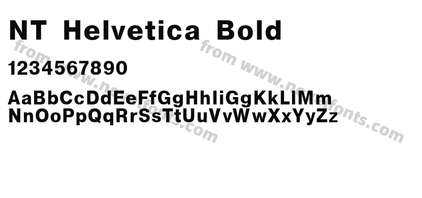 NT Helvetica BoldPreview