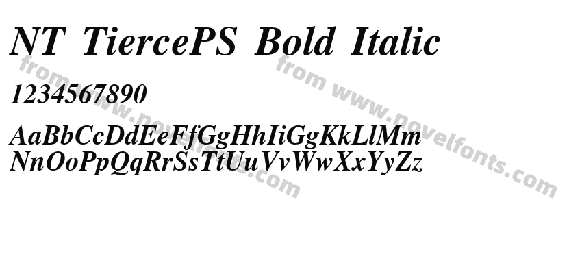 NT TiercePS Bold ItalicPreview