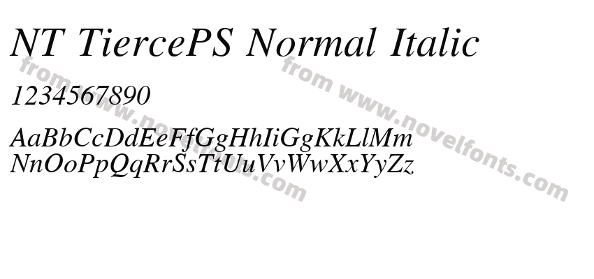 NT TiercePS Normal ItalicPreview