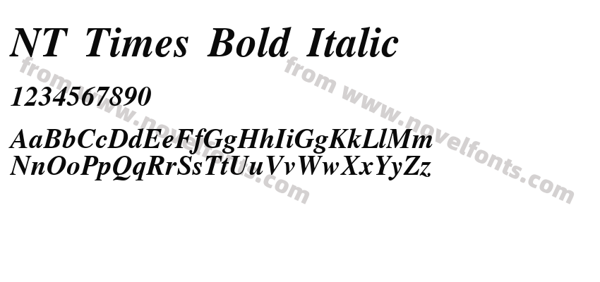 NT Times Bold ItalicPreview