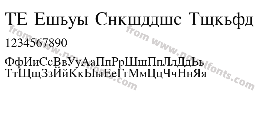 NT Times Cyrillic NormalPreview