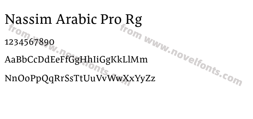 Nassim Arabic Pro RgPreview