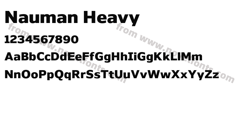 Nauman HeavyPreview