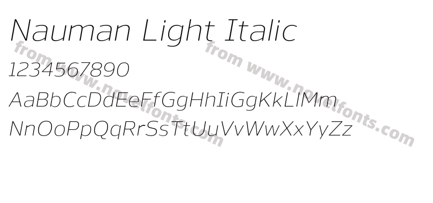 Nauman Light ItalicPreview