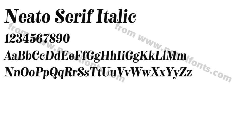 Neato Serif ItalicPreview