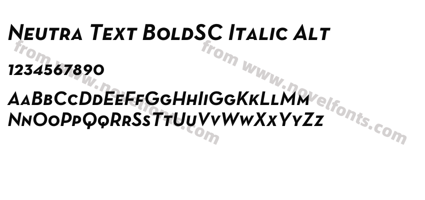 Neutra Text BoldSC Italic AltPreview