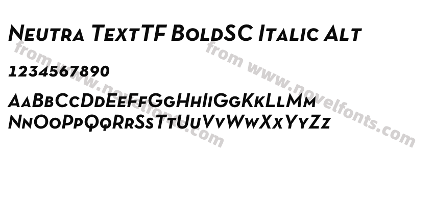 Neutra TextTF BoldSC Italic AltPreview